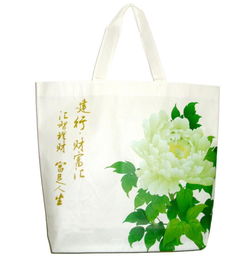 泉州無紡布袋 泉州廣告購物袋 泉州環保袋廠家 泉州購物袋定制